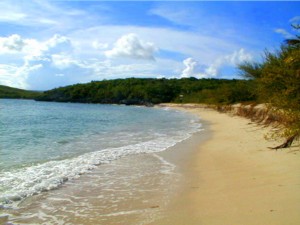 Vieques beach in the Spanish Virgin's