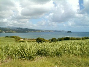 Caravelle peninsular