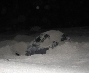 Leatherback Turtle onshore to lay her eggs