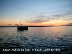 Diesel Duck Easter Sunday morning