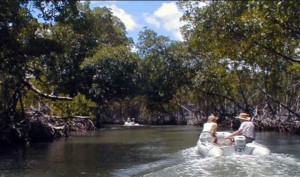Dinghy trek through the mangroves to Cano Hondo EcoResort