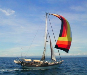 Paradise having a spinnaker run